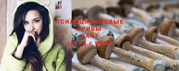 a pvp Арсеньев