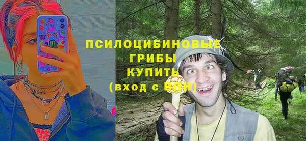 метадон Саяногорск
