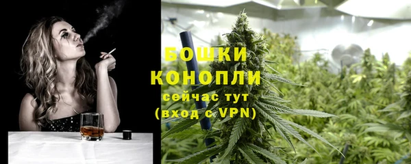 гидра Сафоново