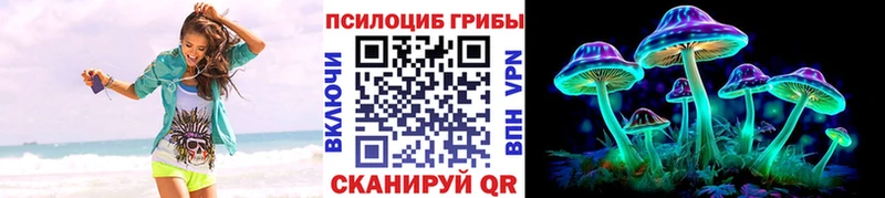 Псилоцибиновые грибы MAGIC MUSHROOMS  kraken зеркало  Городец 